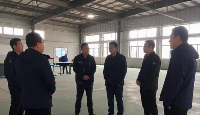 签证辅导适用条件对比，策略选择影响实际取舍